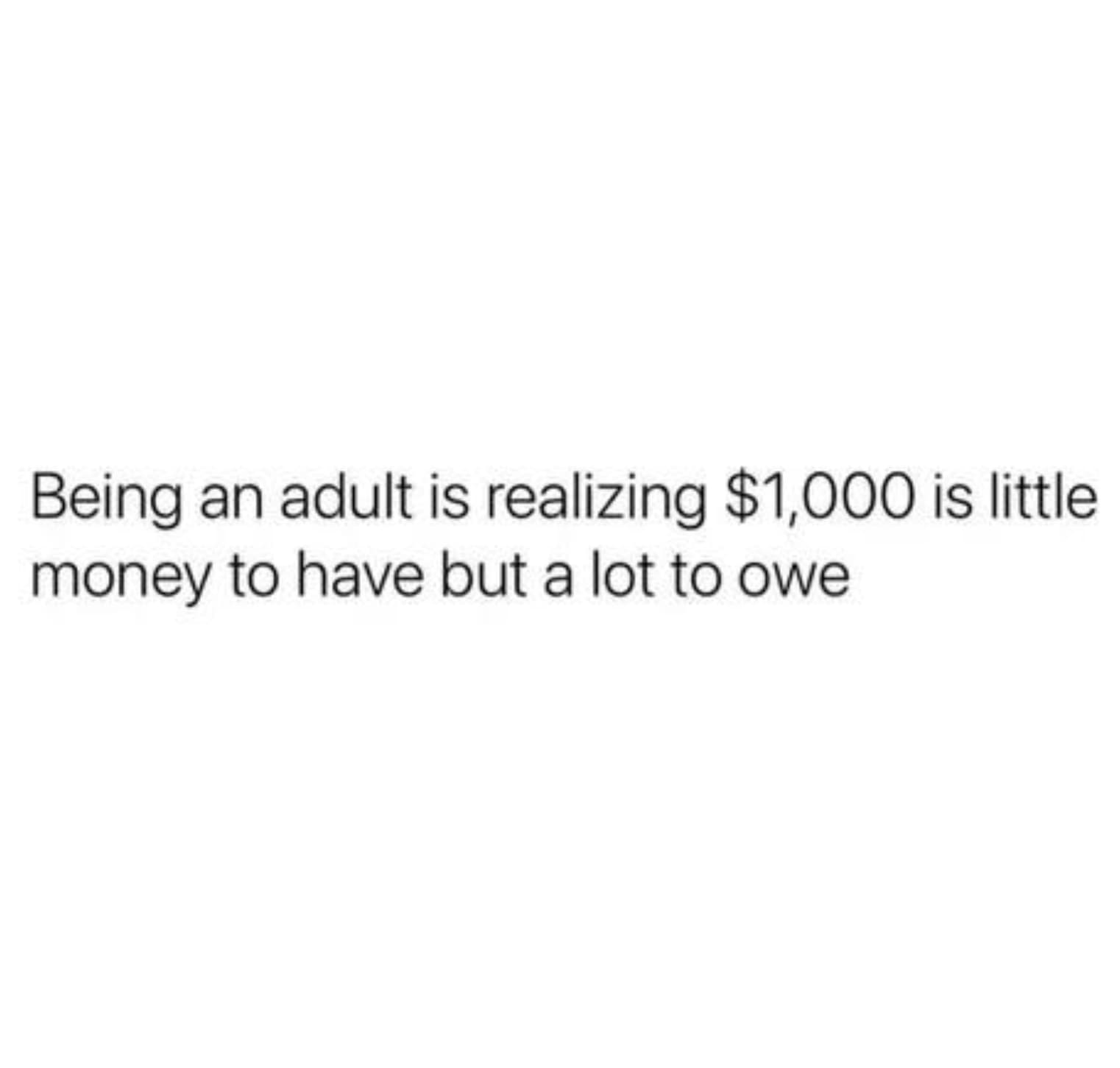 parallel - Being an adult is realizing $1,000 is little money to have but a lot to owe